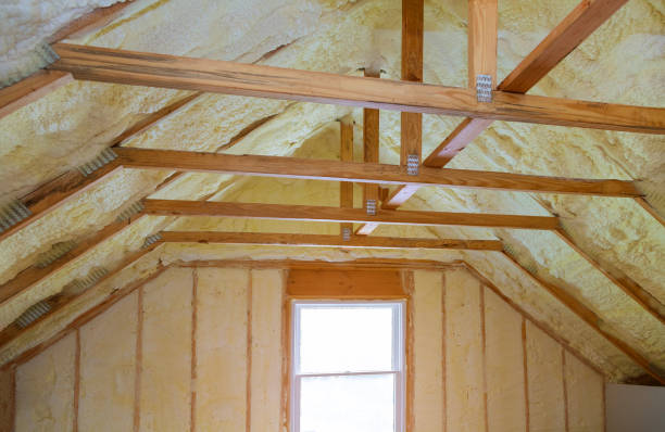 Best Spray Foam Insulation in Polo, IL