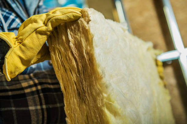 Best Insulation Maintenance and Repair in Polo, IL