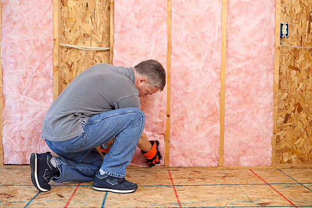 Best DIY Insulation Kits and Guidance in Polo, IL