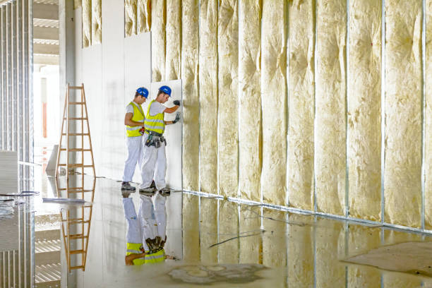 Best DIY Insulation Kits and Guidance in Polo, IL